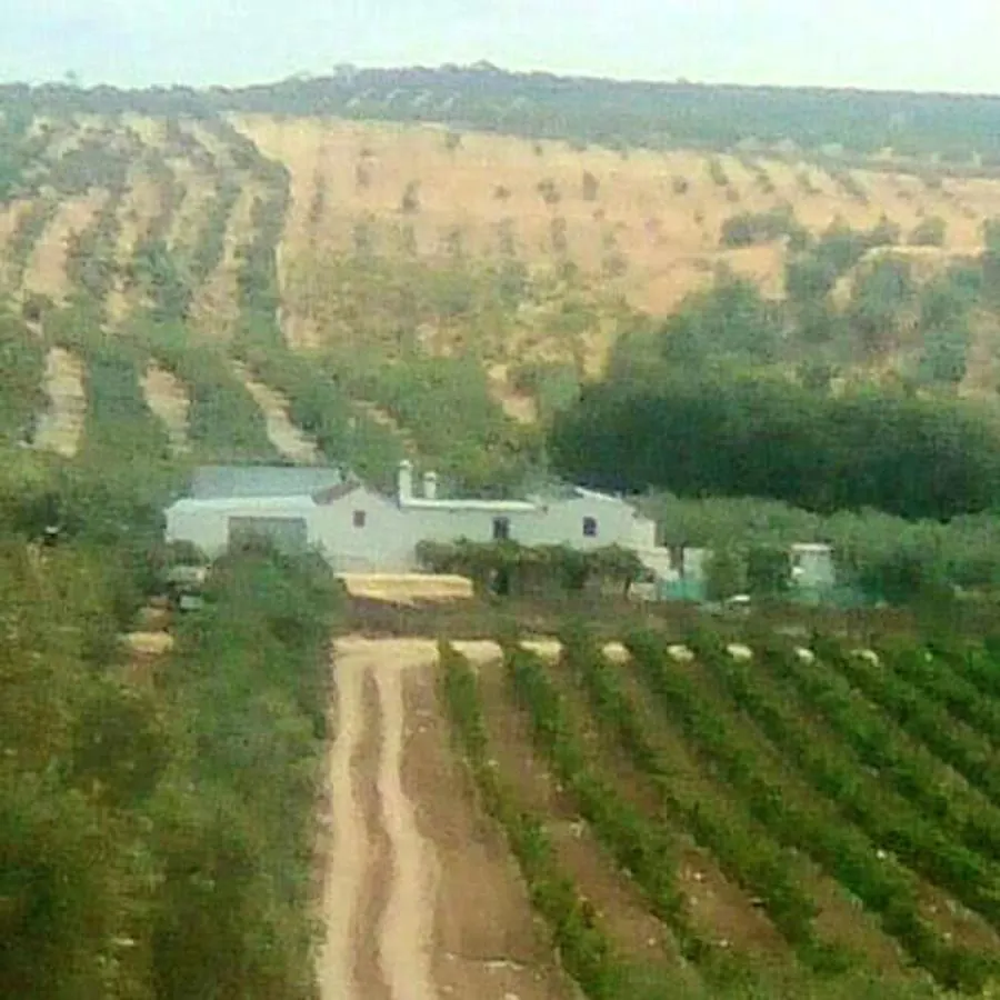 Charming House With Pool In Montilla Jarata Holiday home