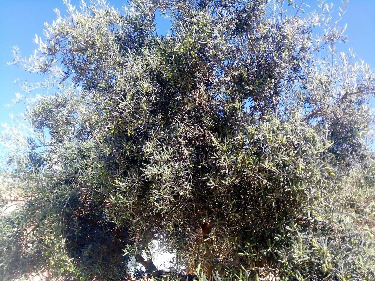 Charming House With Pool In Montilla Jarata